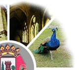 Patio de la Catedral - Parque de los Pinos